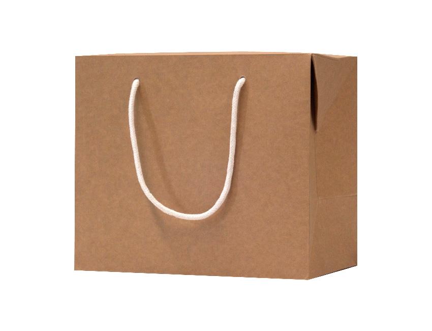 Custom Takeaway Bags