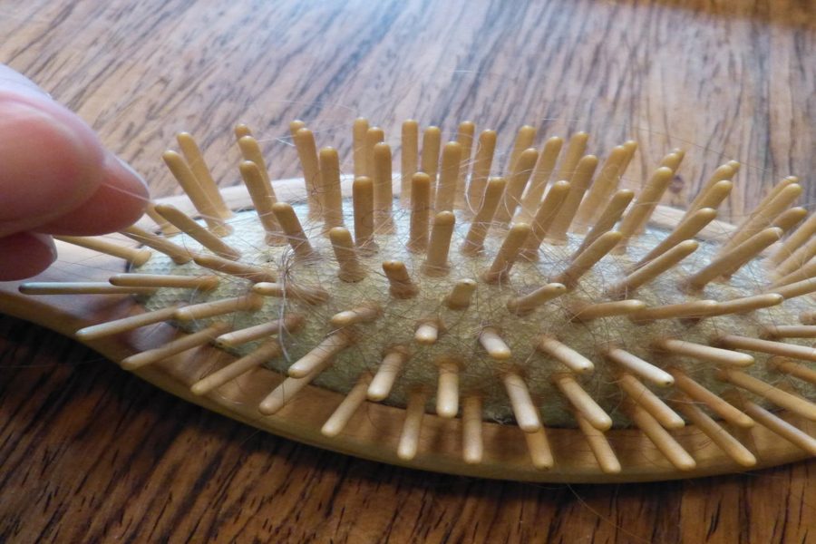 Hair Brush